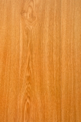 梵瓦伦 枫木实木复合地板 5007 平方米