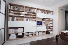 宜科家具 定制新品 简约现代客厅 开赛松木书柜
